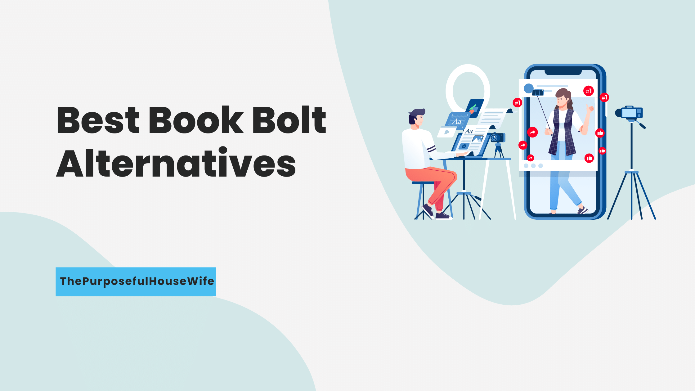 Best Book Bolt Alternatives - The PurposefulHouseWife